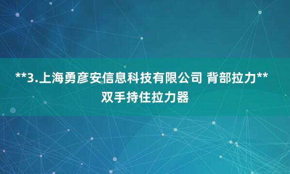 **3.上海勇彦安信息科技有限公司 背部拉力** 双手持住拉力器